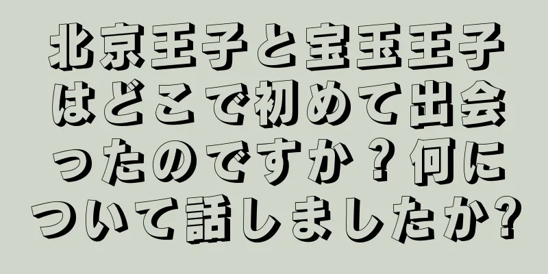 北京王子と宝玉王子はどこで初めて出会ったのですか？何について話しましたか?