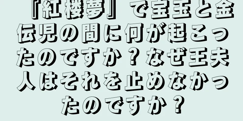 『紅楼夢』で宝玉と金伝児の間に何が起こったのですか？なぜ王夫人はそれを止めなかったのですか？