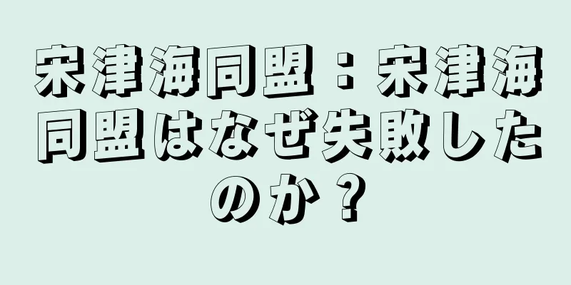 宋津海同盟：宋津海同盟はなぜ失敗したのか？