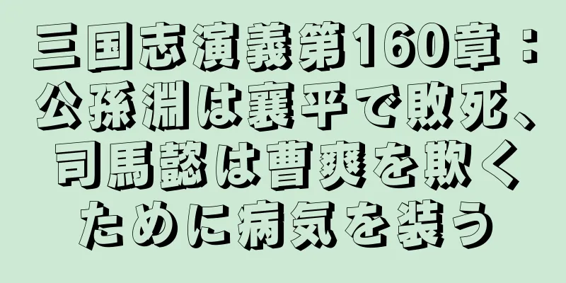 三国志演義第160章：公孫淵は襄平で敗死、司馬懿は曹爽を欺くために病気を装う