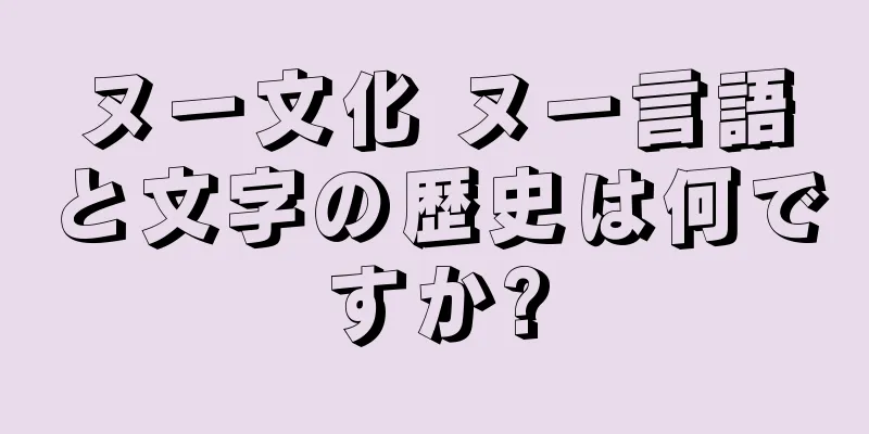 ヌー文化 ヌー言語と文字の歴史は何ですか?
