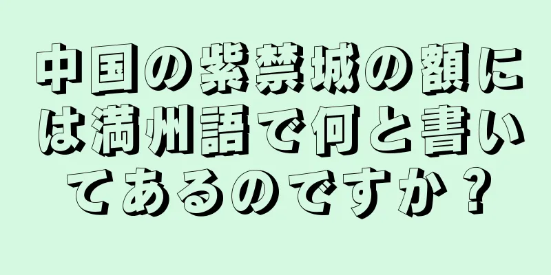 中国の紫禁城の額には満州語で何と書いてあるのですか？