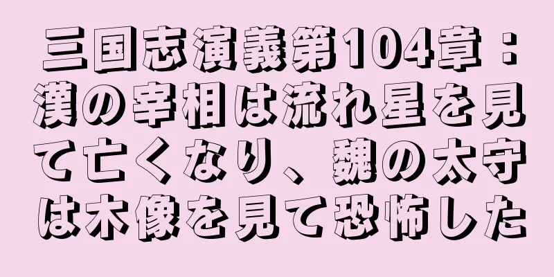 三国志演義第104章：漢の宰相は流れ星を見て亡くなり、魏の太守は木像を見て恐怖した