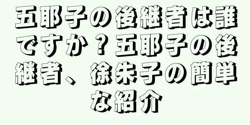 五耶子の後継者は誰ですか？五耶子の後継者、徐朱子の簡単な紹介