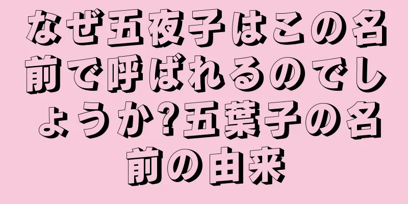なぜ五夜子はこの名前で呼ばれるのでしょうか?五葉子の名前の由来