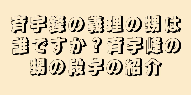 斉宇鋒の義理の甥は誰ですか？斉宇峰の甥の段宇の紹介