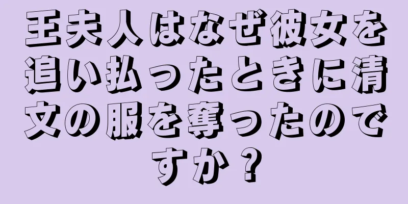 王夫人はなぜ彼女を追い払ったときに清文の服を奪ったのですか？