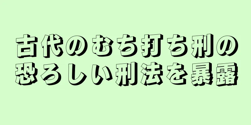 古代のむち打ち刑の恐ろしい刑法を暴露