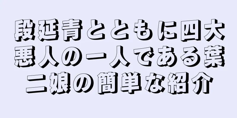 段延青とともに四大悪人の一人である葉二娘の簡単な紹介