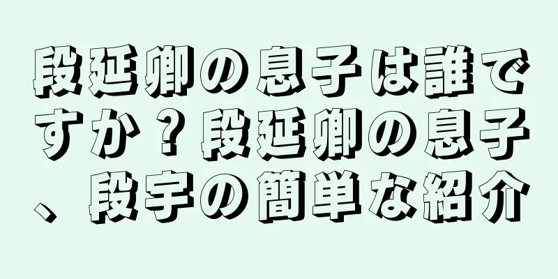 段延卿の息子は誰ですか？段延卿の息子、段宇の簡単な紹介