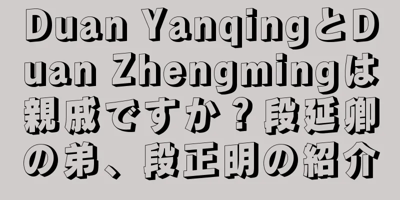 Duan YanqingとDuan Zhengmingは親戚ですか？段延卿の弟、段正明の紹介