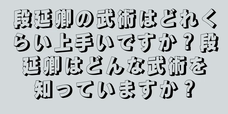 段延卿の武術はどれくらい上手いですか？段延卿はどんな武術を知っていますか？