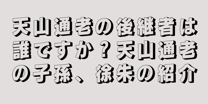 天山通老の後継者は誰ですか？天山通老の子孫、徐朱の紹介