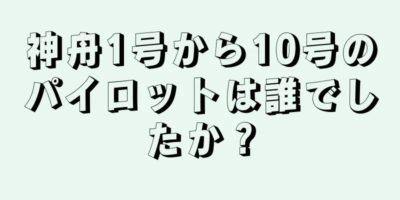 神舟1号から10号のパイロットは誰でしたか？