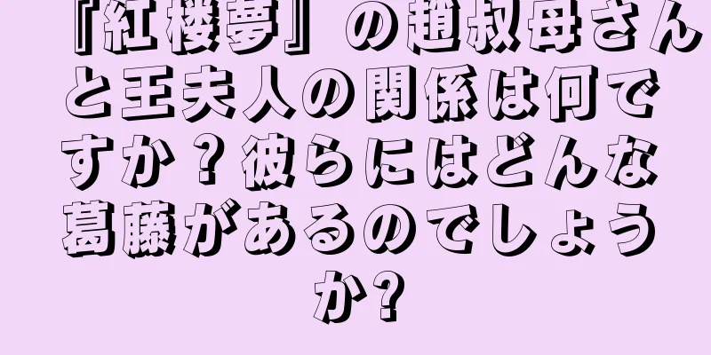 『紅楼夢』の趙叔母さんと王夫人の関係は何ですか？彼らにはどんな葛藤があるのでしょうか?