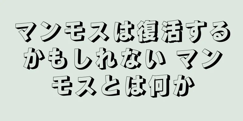 マンモスは復活するかもしれない マンモスとは何か