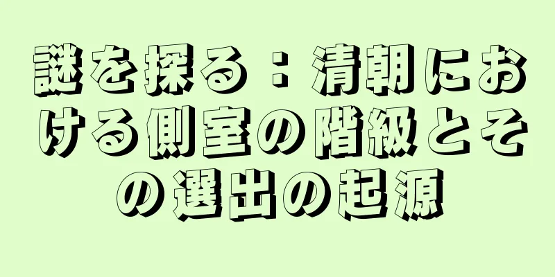 謎を探る：清朝における側室の階級とその選出の起源