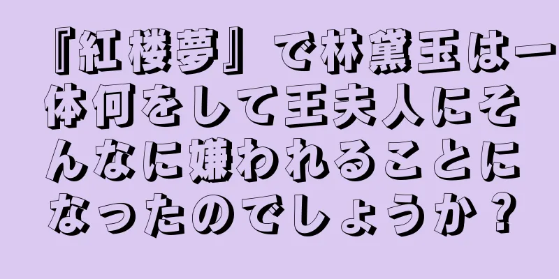 『紅楼夢』で林黛玉は一体何をして王夫人にそんなに嫌われることになったのでしょうか？