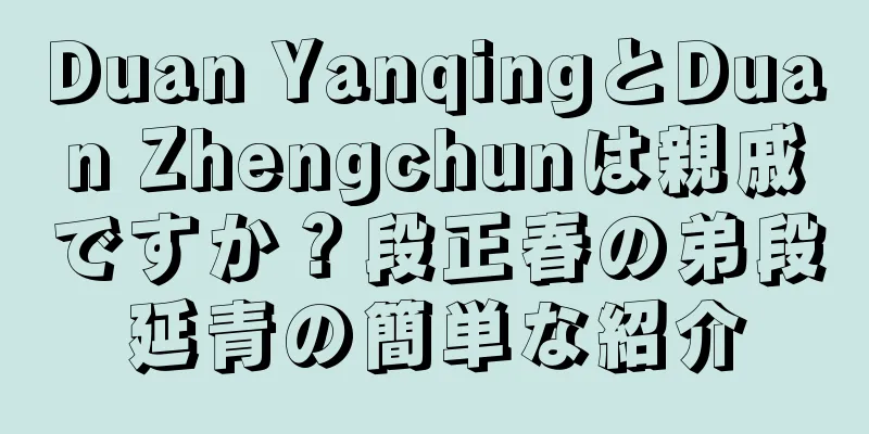 Duan YanqingとDuan Zhengchunは親戚ですか？段正春の弟段延青の簡単な紹介