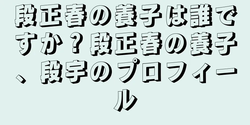 段正春の養子は誰ですか？段正春の養子、段宇のプロフィール