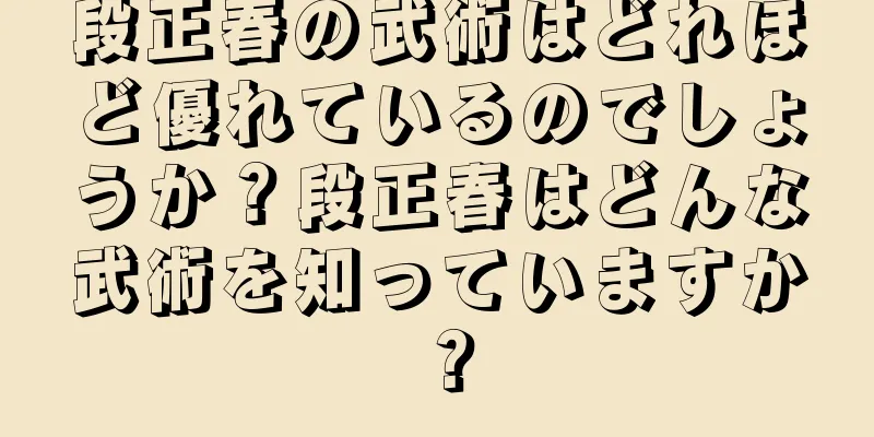 段正春の武術はどれほど優れているのでしょうか？段正春はどんな武術を知っていますか？