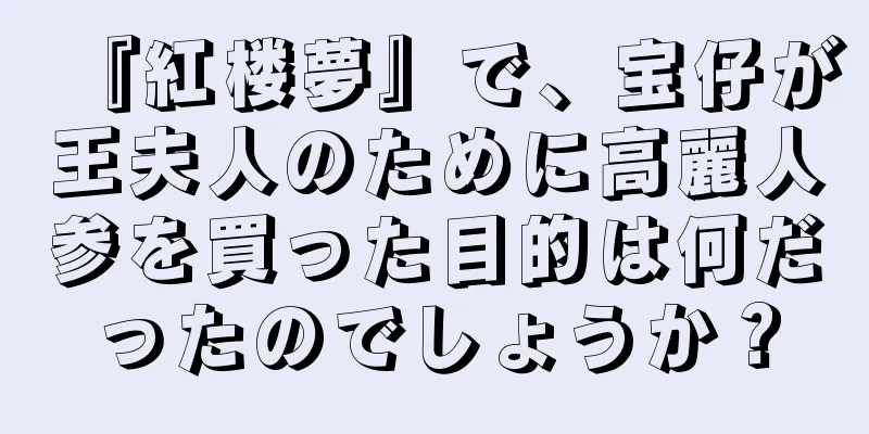 『紅楼夢』で、宝仔が王夫人のために高麗人参を買った目的は何だったのでしょうか？