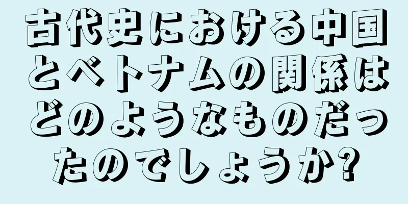 古代史における中国とベトナムの関係はどのようなものだったのでしょうか?