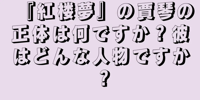 『紅楼夢』の賈琴の正体は何ですか？彼はどんな人物ですか？