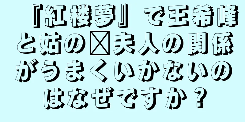 『紅楼夢』で王希峰と姑の邢夫人の関係がうまくいかないのはなぜですか？