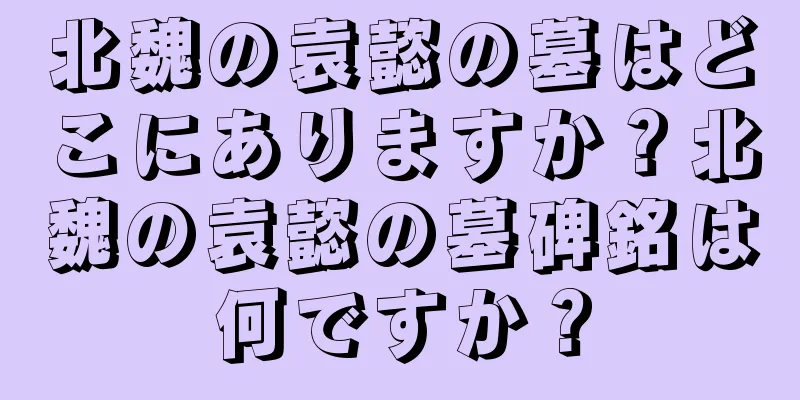 北魏の袁懿の墓はどこにありますか？北魏の袁懿の墓碑銘は何ですか？