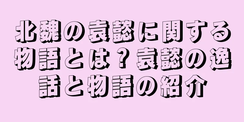 北魏の袁懿に関する物語とは？袁懿の逸話と物語の紹介