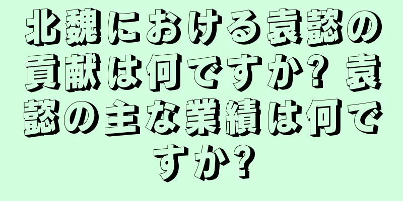 北魏における袁懿の貢献は何ですか? 袁懿の主な業績は何ですか?