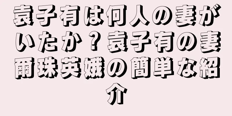 袁子有は何人の妻がいたか？袁子有の妻爾珠英娥の簡単な紹介