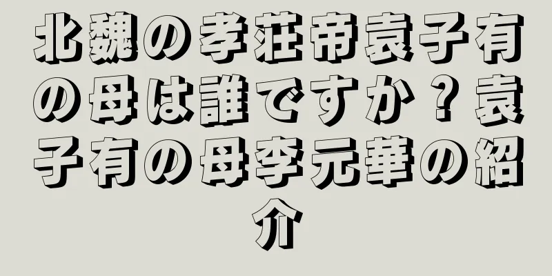 北魏の孝荘帝袁子有の母は誰ですか？袁子有の母李元華の紹介