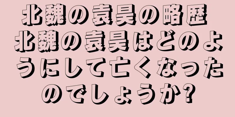 北魏の袁昊の略歴 北魏の袁昊はどのようにして亡くなったのでしょうか?
