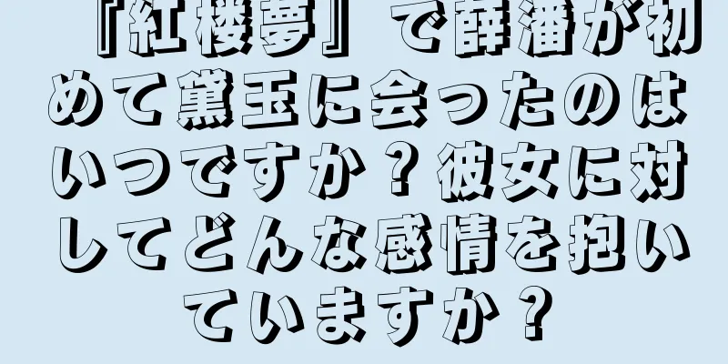 『紅楼夢』で薛潘が初めて黛玉に会ったのはいつですか？彼女に対してどんな感情を抱いていますか？