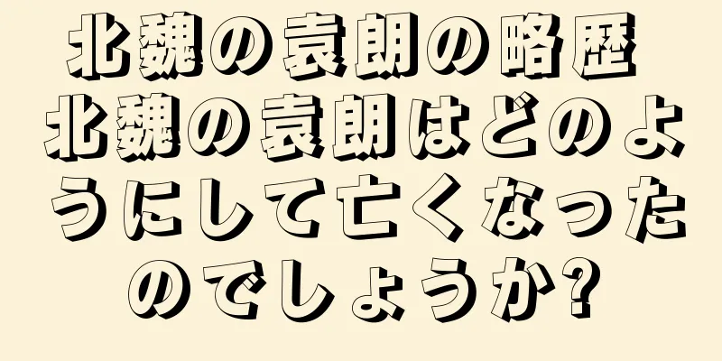 北魏の袁朗の略歴 北魏の袁朗はどのようにして亡くなったのでしょうか?