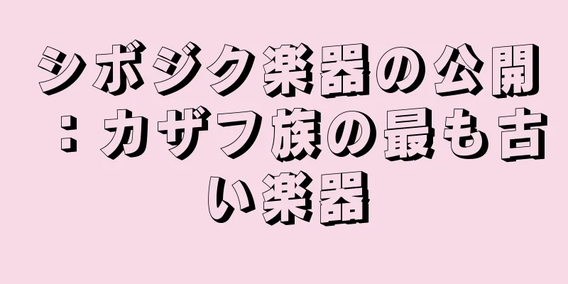 シボジク楽器の公開：カザフ族の最も古い楽器