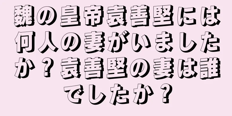 魏の皇帝袁善堅には何人の妻がいましたか？袁善堅の妻は誰でしたか？