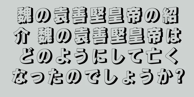 魏の袁善堅皇帝の紹介 魏の袁善堅皇帝はどのようにして亡くなったのでしょうか?