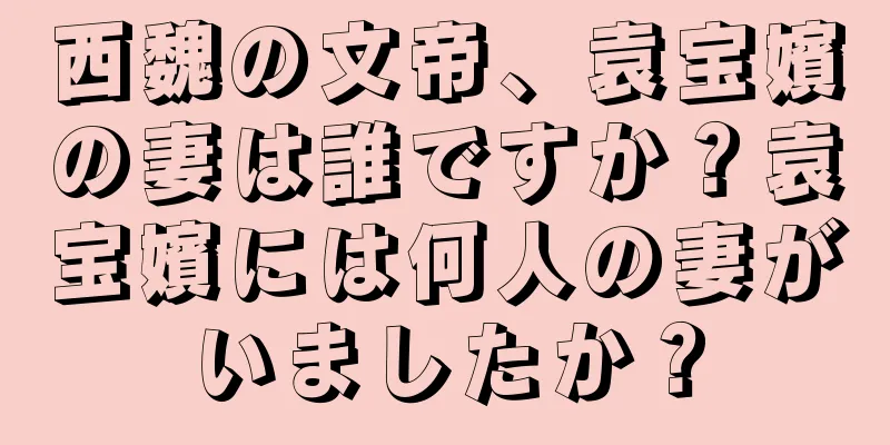 西魏の文帝、袁宝嬪の妻は誰ですか？袁宝嬪には何人の妻がいましたか？