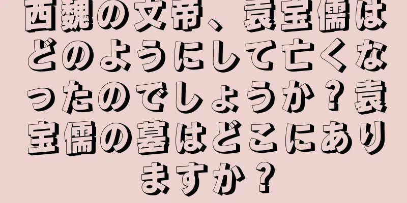 西魏の文帝、袁宝儒はどのようにして亡くなったのでしょうか？袁宝儒の墓はどこにありますか？