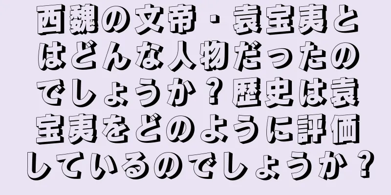 西魏の文帝・袁宝夷とはどんな人物だったのでしょうか？歴史は袁宝夷をどのように評価しているのでしょうか？