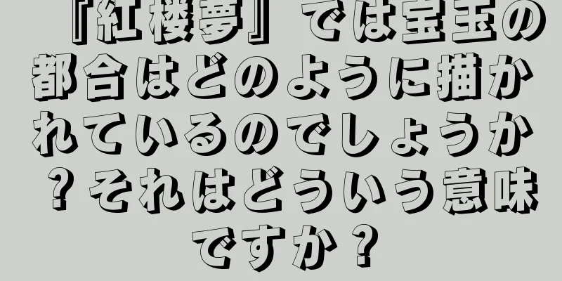 『紅楼夢』では宝玉の都合はどのように描かれているのでしょうか？それはどういう意味ですか？