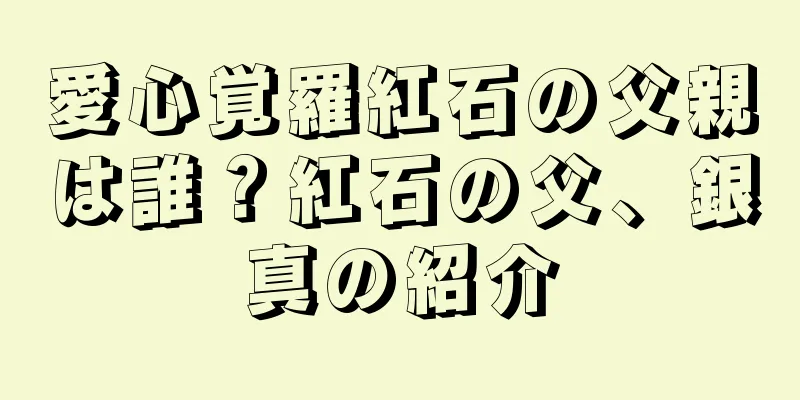 愛心覚羅紅石の父親は誰？紅石の父、銀真の紹介