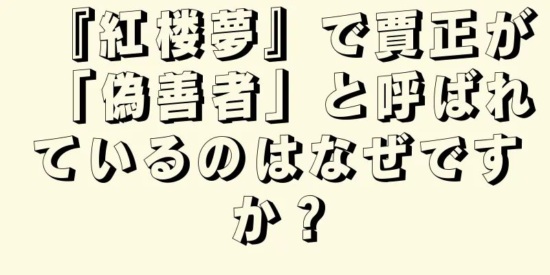 『紅楼夢』で賈正が「偽善者」と呼ばれているのはなぜですか？