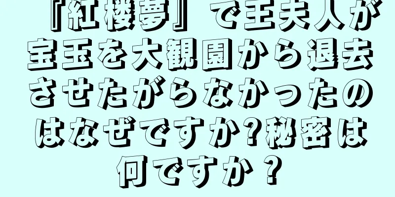 『紅楼夢』で王夫人が宝玉を大観園から退去させたがらなかったのはなぜですか?秘密は何ですか？