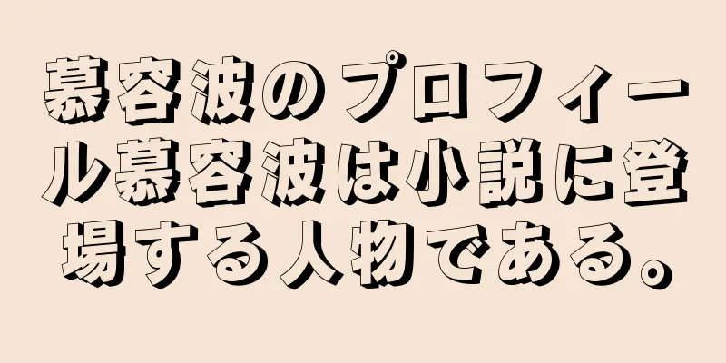 慕容波のプロフィール慕容波は小説に登場する人物である。