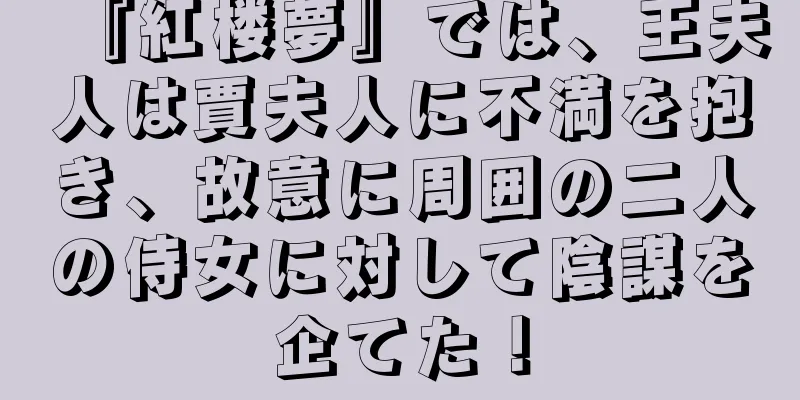 『紅楼夢』では、王夫人は賈夫人に不満を抱き、故意に周囲の二人の侍女に対して陰謀を企てた！