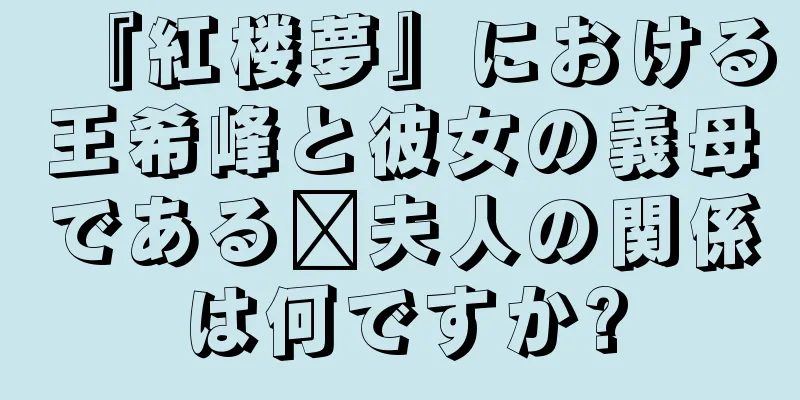 『紅楼夢』における王希峰と彼女の義母である邢夫人の関係は何ですか?